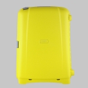 Samsonite,  , d18.016.064